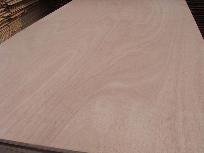 commercial plywood-Xuzhou Forest Wood Co.,Ltd