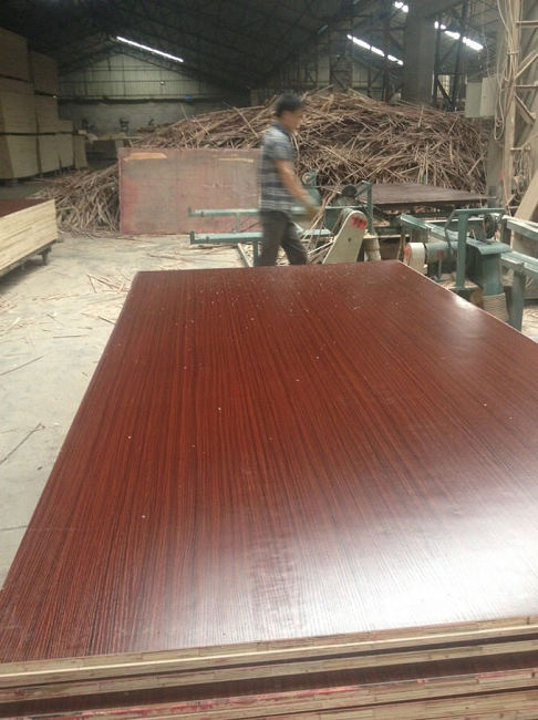 melamine plywood-Xuzhou Forest Wood Co.,Ltd