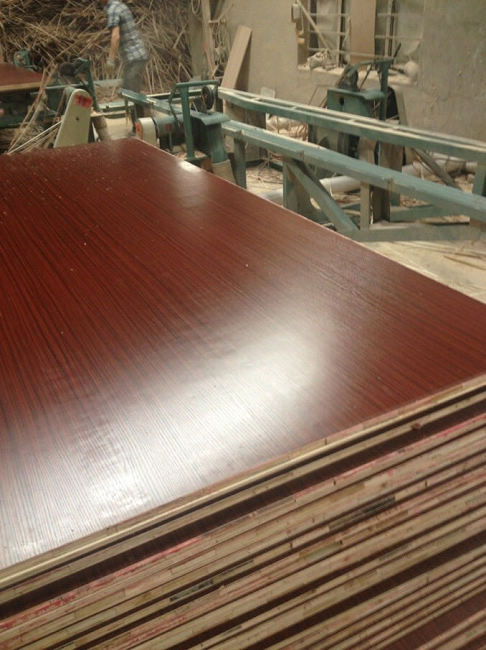melamine plywood-Xuzhou Forest Wood Co.,Ltd