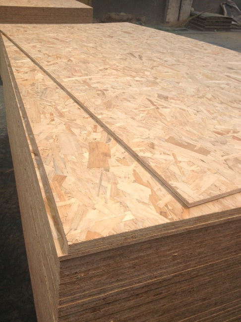 osb-Xuzhou Forest Wood Co.,Ltd