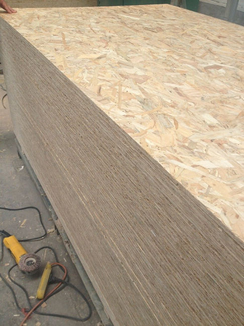 osb-Xuzhou Forest Wood Co.,Ltd