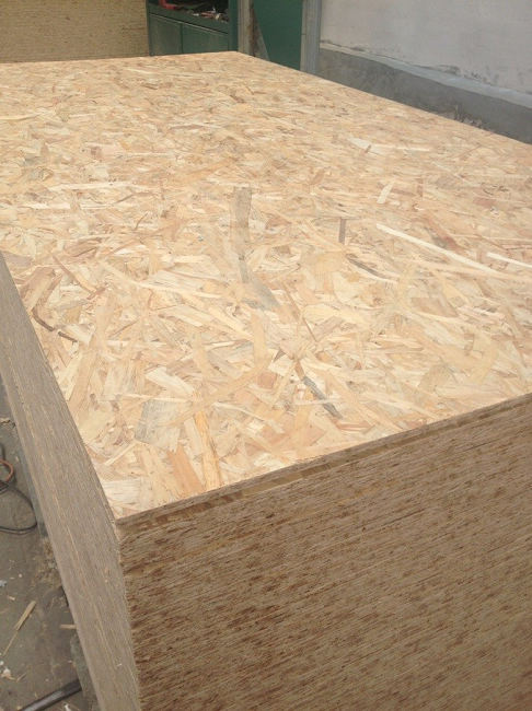 osb-Xuzhou Forest Wood Co.,Ltd