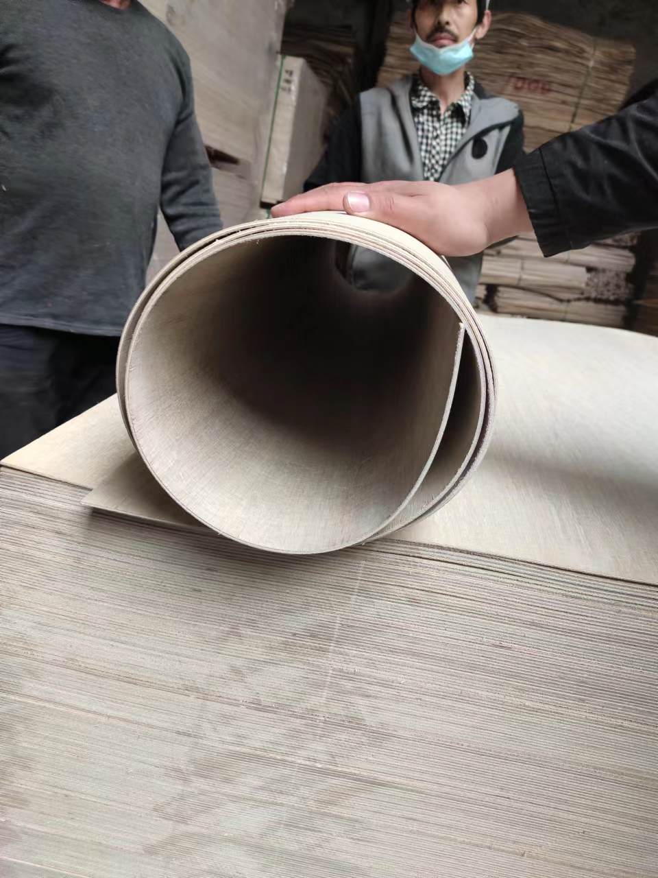 bending plywood-Xuzhou Forest Wood Co.,Ltd